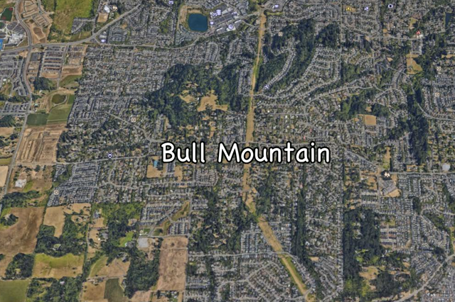 Image for Bull Mountain